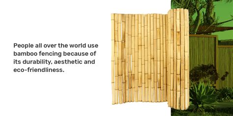 How To Use Bamboo In Interior Designs Forever Bamboo