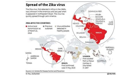 Zika Virus May Cause Birth Defects In Thousand Of Babies Who Experts