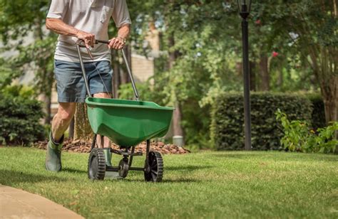 When To Fertilize Your Lawn And Other Fertilizer Tips Mymove