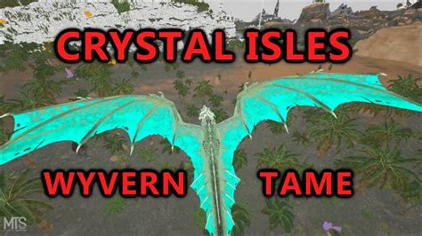 How To Tame Crystal Wyverns On Crystal Isles Ark Survival Evolved
