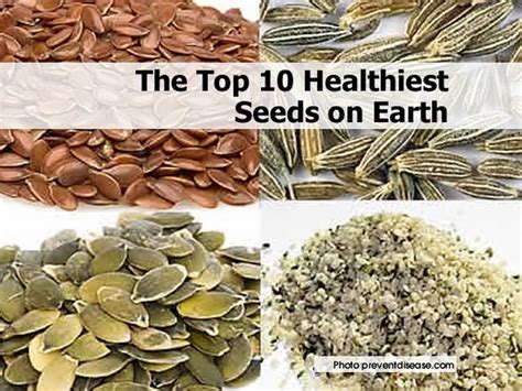The Top 10 Healthiest Seeds On Earth