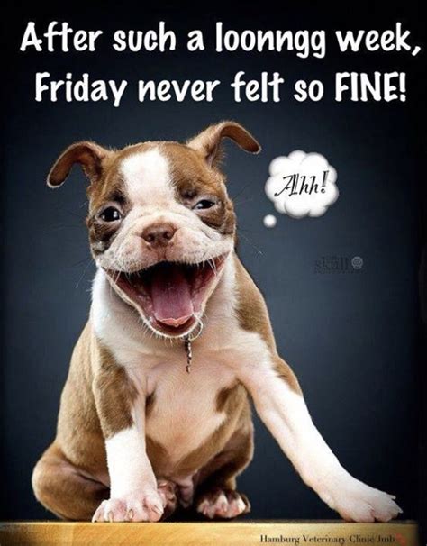 Happy Friday Quotes Dogs
