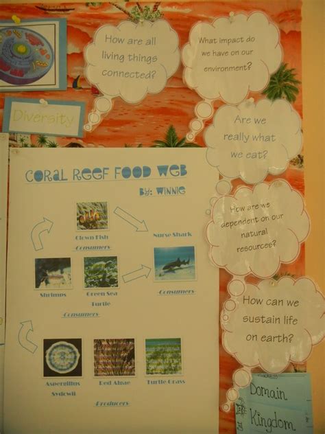 The Cultural Classroom Food Web Poster Project