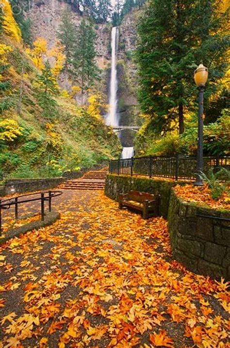 Pin By Carole Price On Nature Autumn Scenery Waterfall Fall Pictures