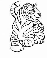 Coloring Tigers Children Printable Animals Fans Adult Justcolor sketch template
