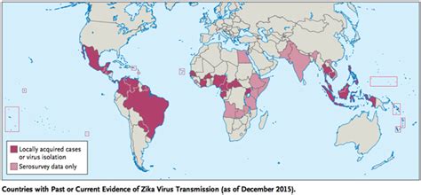 Cdc Evidence May Link Mosquito Borne Zika Virus Birth Defects Cbs News