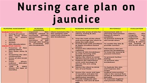 Nursing Care Plan For Neonatal Jaundice 1 Docx Nursing Care Plan For