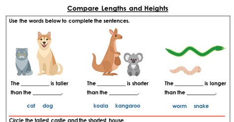Free Year 1 Compare Lengths And Heights Lesson Classroom Secrets