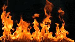 Usei o novo emote de flor em. Best Background Fire GIFs | Gfycat