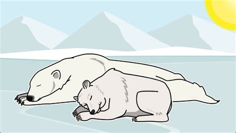 Where Do Polar Bears Live Summary And Fun Activities