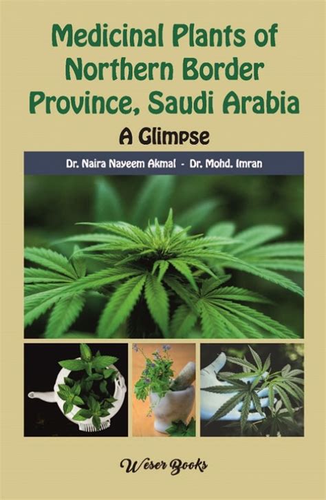 Medicinal Plants Of Northern Border Province Saudi Arabia A Glimpse
