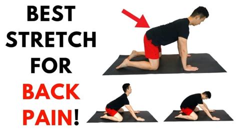 Best Back Stretches To Reduce Pain Successyeti