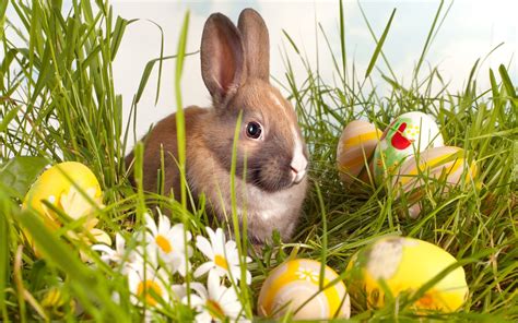 W roku 2021 święto przypada na 4 kwietnia (niedziela) i 5 kwietnia (poniedziałek). Zając, Jajka, Wielkanoc