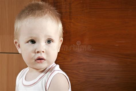 Portrait Handsome Boy Stock Image Image Of Happy Caucasian 25493877