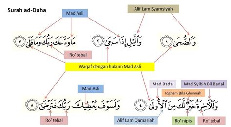 Hukum Tajwid Surat Ad Dhuha Dan Terjemahan Al Quran Imagesee
