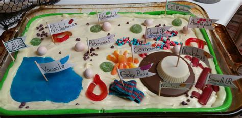 How To Make A Plant Cell Cake With Candy Cake Walls