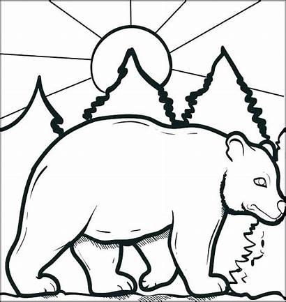 Bear Coloring Pages Angry Printable Forest Polar