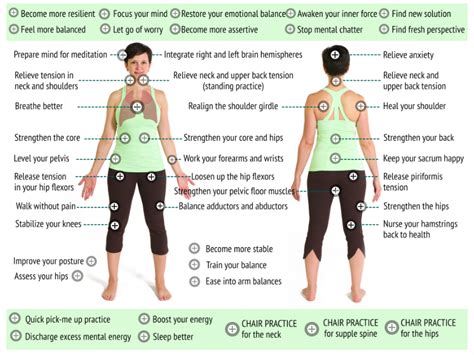 Find The Right Practice With Ease Updated Body Map For Yoga Practices