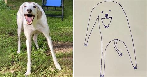The main thing is to note how the ypos, radius, counter, and. Person Tries Drawing His Dog, Accidentally Starts Creating ...
