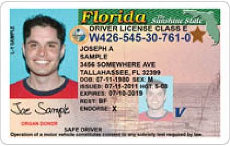 We are moving to florida for 6 months maybe a little longer, but we will be living in our travel trailer in an rv park. What ID Cards Do I Need to Vote in Florida? | Sarasota, FL ...