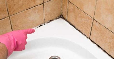 Πως να καθαρίσεις τους μύκητες και τη μούχλα από το μπάνιο Μπάνιο Συμβουλές καθαριότητας