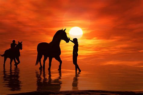 Horses At Sunset Wallpapers Wallpaper Cave