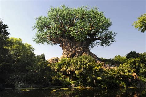 10 Misconceptions People Get Totally Wrong About Disneys Animal Kingdom
