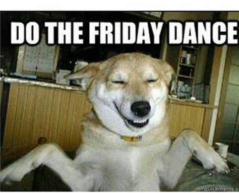 50 Best Dancing Dog Memes