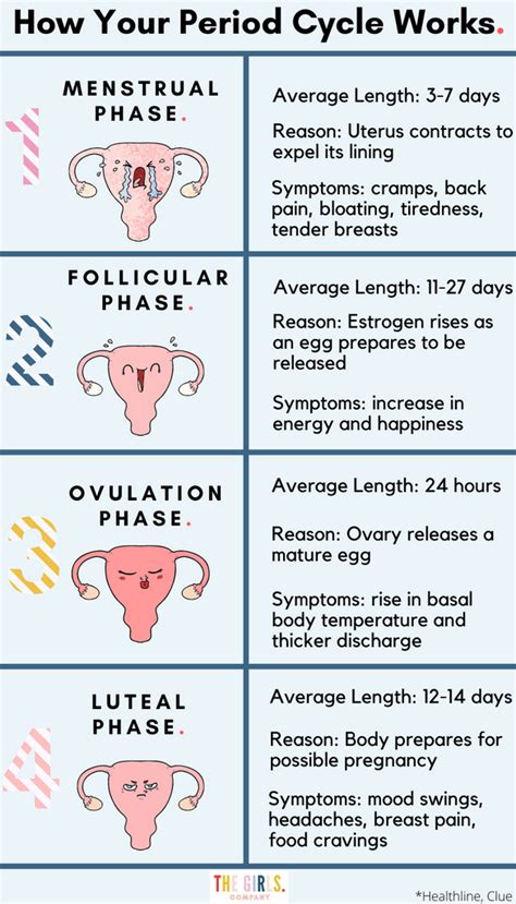 Period Cramp Relief The Ultimate Guide 2023 Update The Girls Company