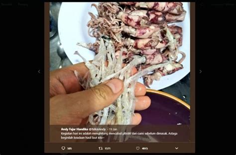 Bukan hanya satu atau dua orang saja loh yang saat ini tengah mencari informasi terkait hal ada apa dengan kangkung dan cumi cumi ini melainkan puluhan ribu hingga jutaan orang loh. Top 4 Berita Terkini: Cek Fakta Gadis Bertubuh Ular dan ...