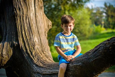 Der Junge Sitzt Auf Einem Klotz Das Kind Geht In Den Sommerwald Den Das Kind Auf Einem
