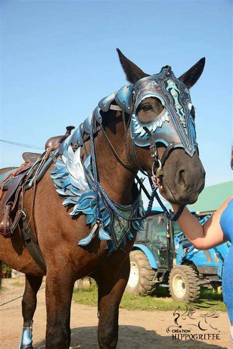 Armor Inspiration For Six Horses Horse Tips Animals