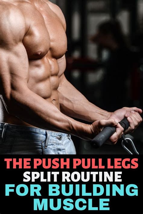 The Definitive Guide To Push Pull Legs Split Routine Push Pull Legs Workout Push Workout