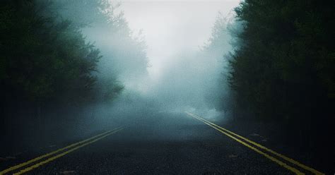 Another Foggy Scene This Time A Forest Road C4doctane Rcinema4d