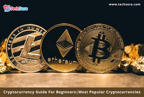 Evaluating the most popular options can be a great place to start as you search for the right cryptocurrency for you. Cryptocurrency Guide For Beginner Most Popular ...