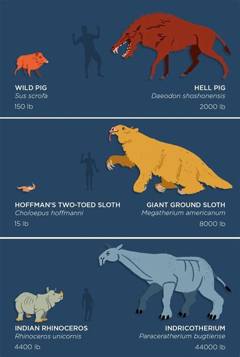 Evolutionary Ancrstors Of Modern Mammals And We Thought They Were Big