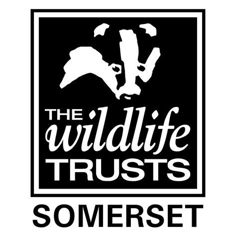 Somerset Wildlife Trust Conservation Organisations Cj