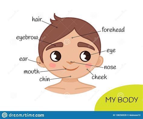 Cartoon Face Parts Vector Illustration | CartoonDealer.com #12844492