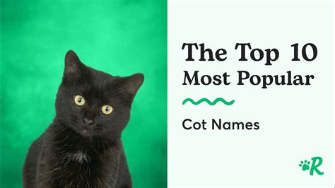 The 10 Most Popular Male And Female Cat Names YouTube