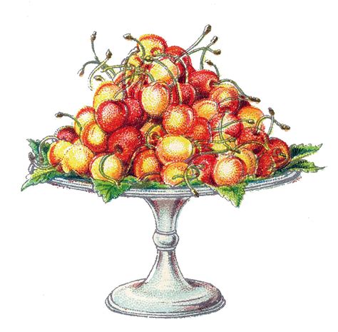 Vintage Graphic Image Cherries On A Cake Plate The Graphics Fairy