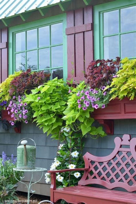 The alarm is also extremely easy to use. 80+ Cheap Easy Fall Window Boxes Inspirations | Fall ...