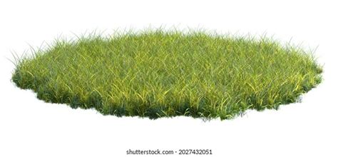 28118 Patch Of Grass Images Stock Photos And Vectors Shutterstock