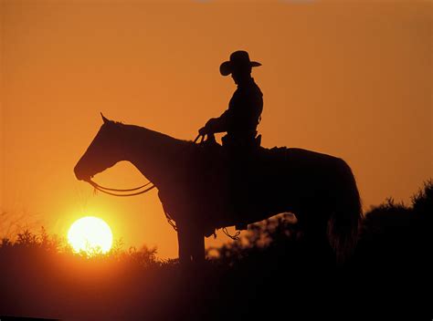 Cowboy Sunset Silhouette Photograph By Shawn Hamilton