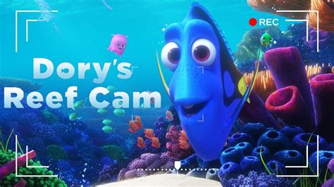 Dorys Reef Cam Disney Finding Nemo Animated Screensaver Youtube