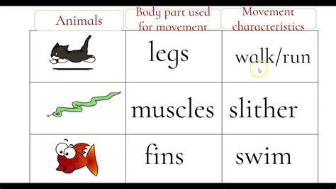 Science 1 Movements Of Animals Youtube