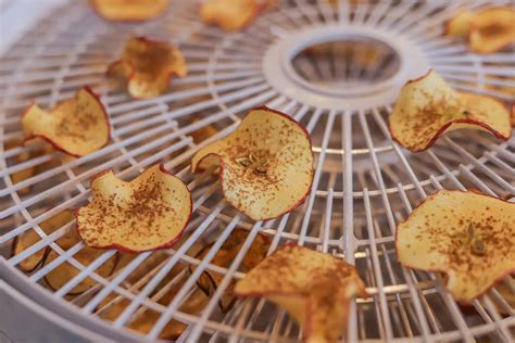 Dehydrated Apple Chips Recipe Hildas Kitchen Blog