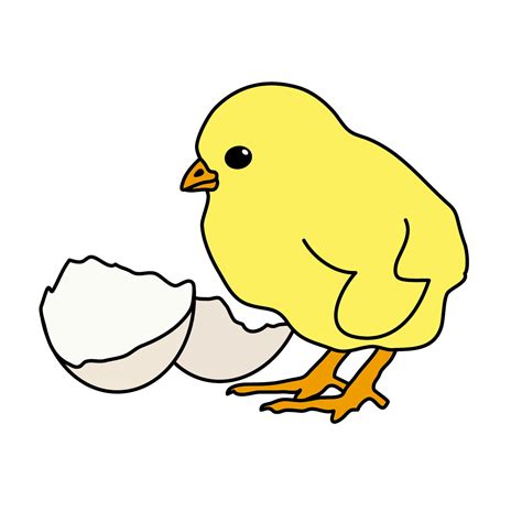 Baby Chick Pictures Clip Art Clipart Best