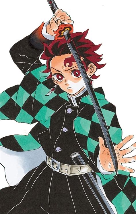 Tanjiro Kamado Kimetsu No Yaiba Wikia Fandom Anime Demon Anime