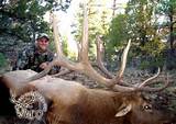 Images of Arizona Elk Hunting Outfitters