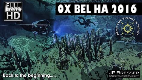 Ox Bel Ha 2016 On Vimeo Imagery Ox Poster
